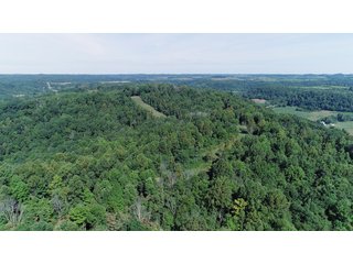 Tract 27 - Timberland & Farmland in Noble County, OH - LAND AUCTION - 12,200+/- ACRES OFFERED IN 65 TRACTS IN NOBLE COUNTY, OHIO